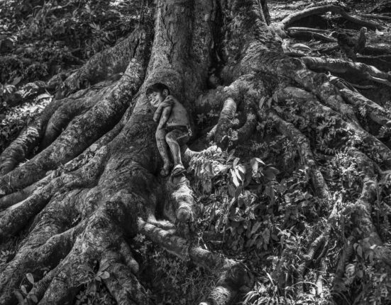 Começa nesta quarta-feira